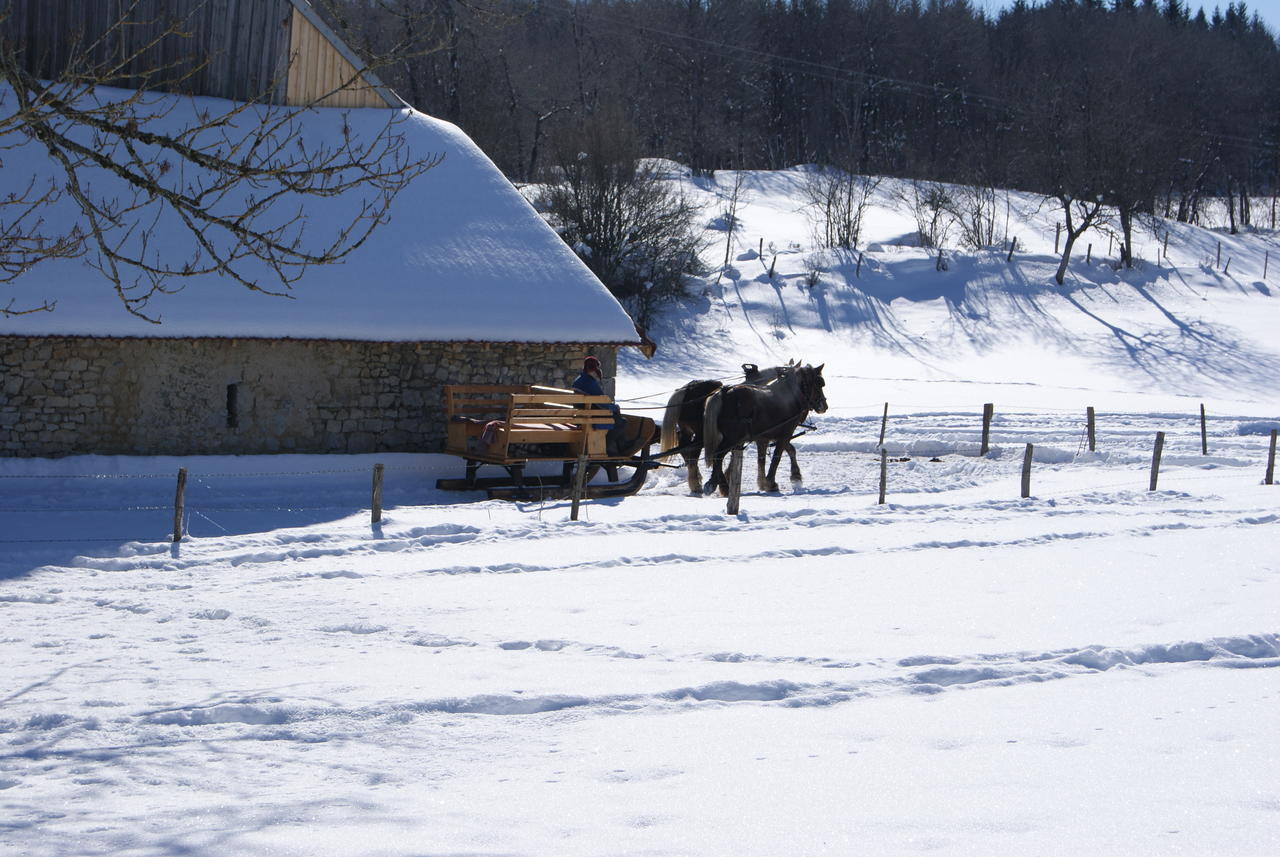 Le Sillet Longcochon