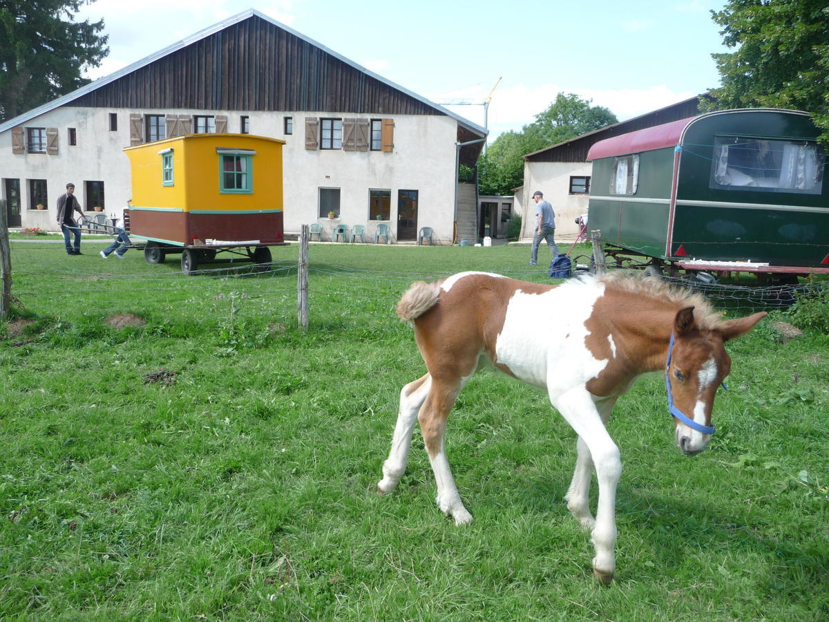 Le Sillet Longcochon